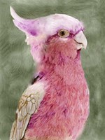 Palm Springs Parrot I Fine Art Print