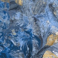 Gilded Indigo III Fine Art Print