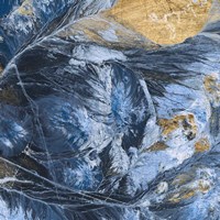 Gilded Indigo IV Fine Art Print