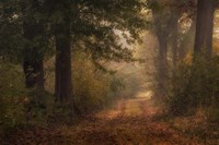 Autumn's Walk III Fine Art Print