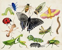 Bugdom I Framed Print