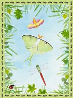 Bug Collector I Framed Print