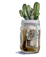 Cactus Mason Jar I Fine Art Print