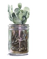 Cactus Mason Jar II Fine Art Print