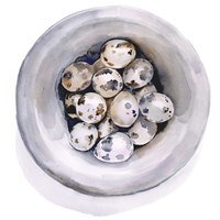 Quail Egg Study I Fine Art Print