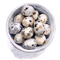 Quail Egg Study II Fine Art Print