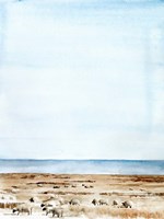 Scottish Ewes I Fine Art Print