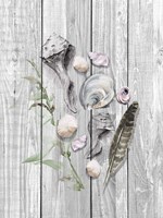 Drifted Ashore I Fine Art Print