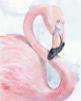 Pink Flamingo Portrait I Framed Print