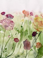 Among the Watercolor Wildflowers II Fine Art Print