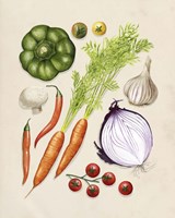 Vegetable Garden II Fine Art Print