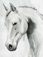 Horse Whisper I Fine Art Print