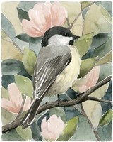 Veiled Aviary I Fine Art Print