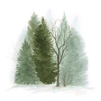 Walk in the Woods II Fine Art Print