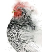 Plymouth Rooster I Fine Art Print