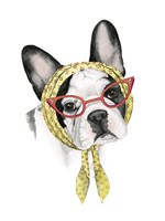 Vogue Dog II Fine Art Print