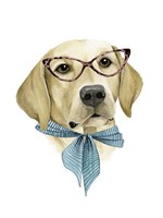 Vogue Dog IV Framed Print