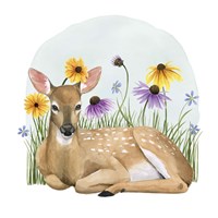 Wild Woodland II Framed Print