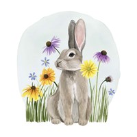 Wild Woodland III Framed Print