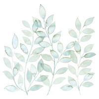 Winding Whisper II Fine Art Print