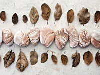 Gifts of the Earth III Fine Art Print