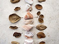 Gifts of the Earth V Fine Art Print