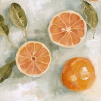 Fresh Citrus III Fine Art Print