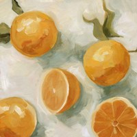 Fresh Citrus IV Fine Art Print