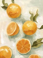 Fresh Citrus V Fine Art Print