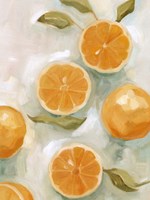 Fresh Citrus VI Fine Art Print