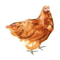 Wild Chicken I Fine Art Print