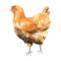 Wild Chicken II Fine Art Print