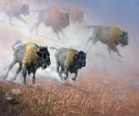 Plains Thunder Fine Art Print