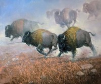 Prairie Thunder Fine Art Print