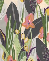 Vibrant Ladyslippers I Framed Print