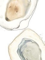 Ocean Oysters III Fine Art Print