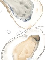 Ocean Oysters IV Fine Art Print