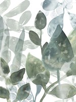 Aquatic Leaves I Framed Print