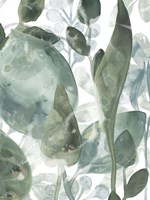 Aquatic Leaves IV Framed Print