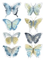 Butterfly Blues II Framed Print