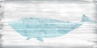 Weathered Whale II Fine Art Print