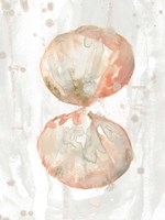 Muted Molusk I Framed Print