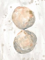 Muted Molusk II Framed Print