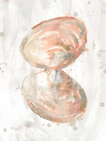 Muted Molusk III Framed Print