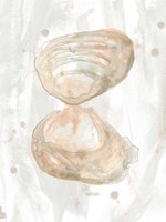 Muted Molusk IV Framed Print