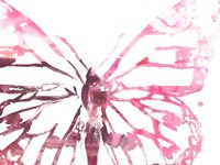 Butterfly Imprint II Framed Print