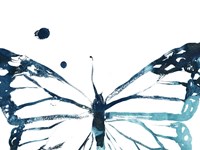 Butterfly Imprint III Framed Print