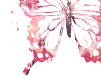 Butterfly Imprint IV Framed Print