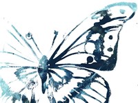 Butterfly Imprint V Fine Art Print