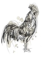 Feathered Fowl III Framed Print